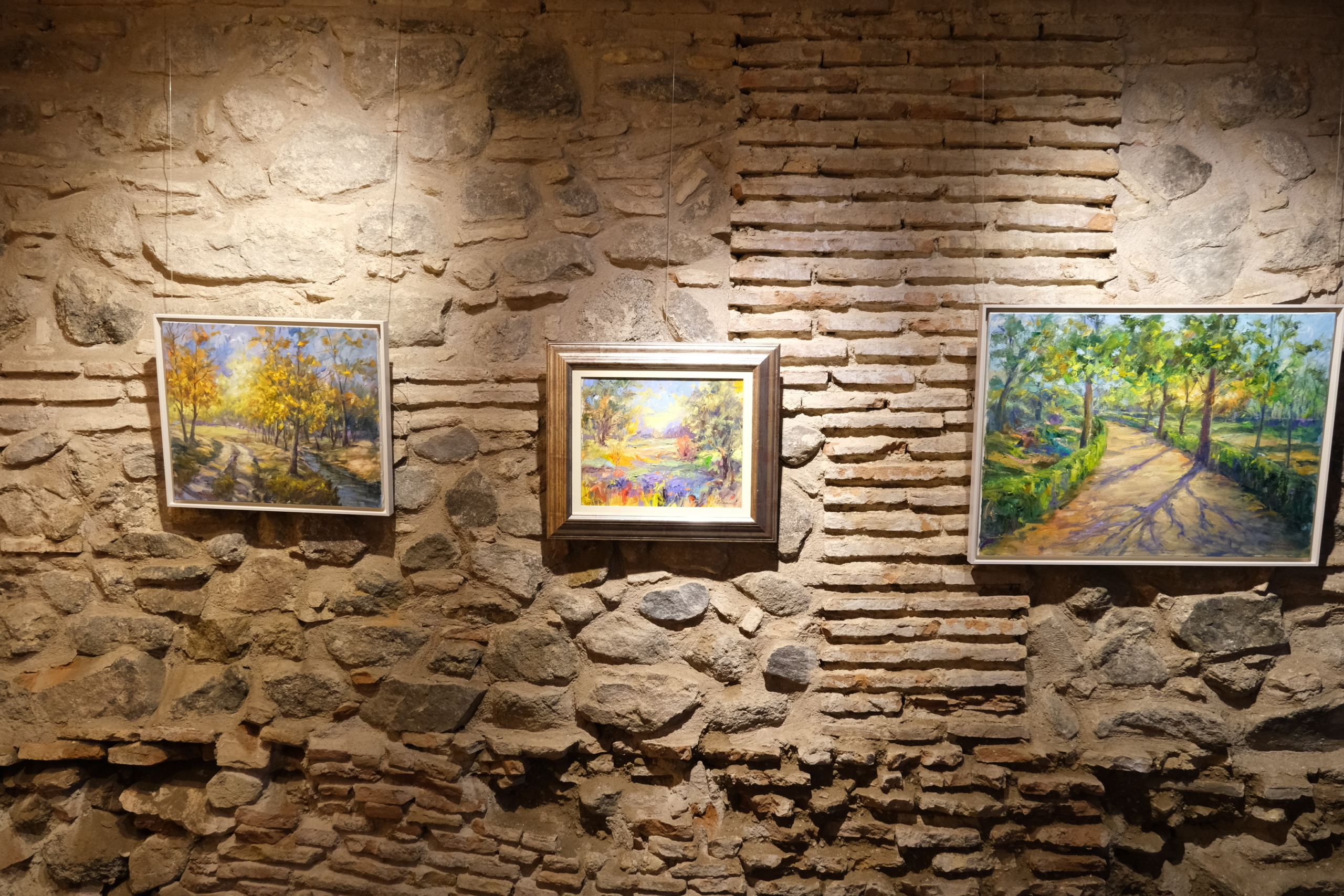 ‘Naturaleza Viva’: nueva exposición en las Cuevas de Hércules